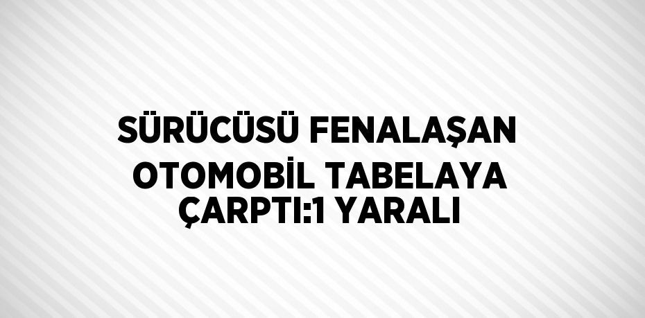 SÜRÜCÜSÜ FENALAŞAN OTOMOBİL TABELAYA ÇARPTI:1 YARALI