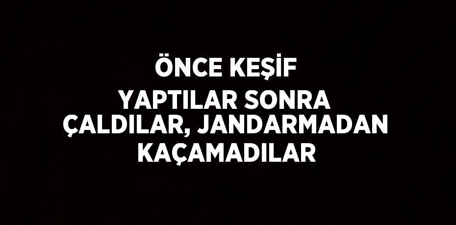 ÖNCE KEŞİF YAPTILAR SONRA ÇALDILAR, JANDARMADAN KAÇAMADILAR