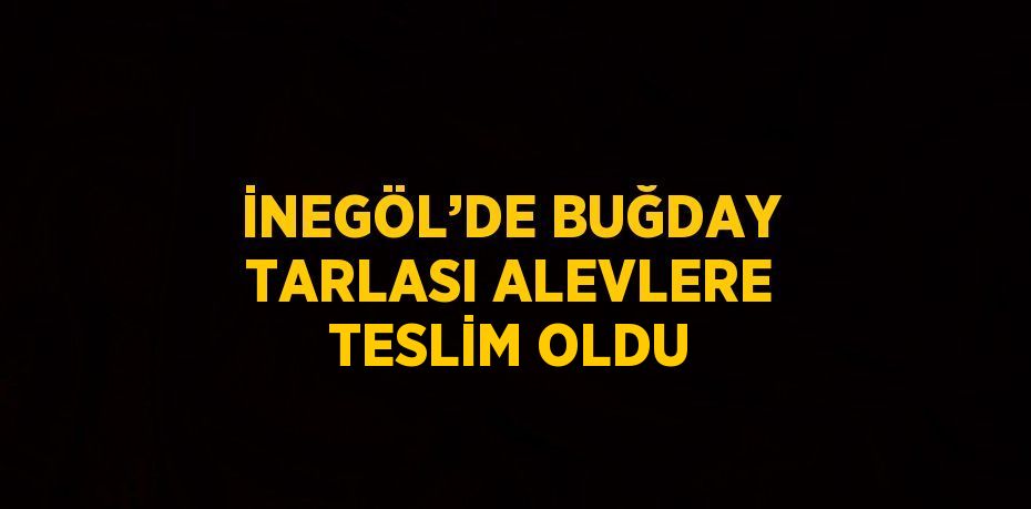 İNEGÖL’DE BUĞDAY TARLASI ALEVLERE TESLİM OLDU