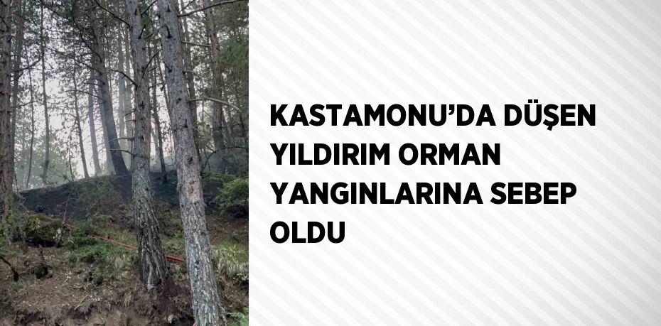 KASTAMONU’DA DÜŞEN YILDIRIM ORMAN YANGINLARINA SEBEP OLDU