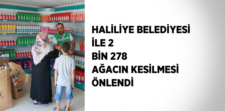 HALİLİYE BELEDİYESİ İLE 2 BİN 278 AĞACIN KESİLMESİ ÖNLENDİ