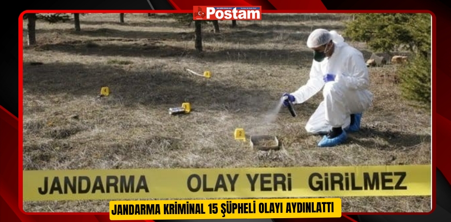 Jandarma Kriminal 15 şüpheli olayı aydınlattı  