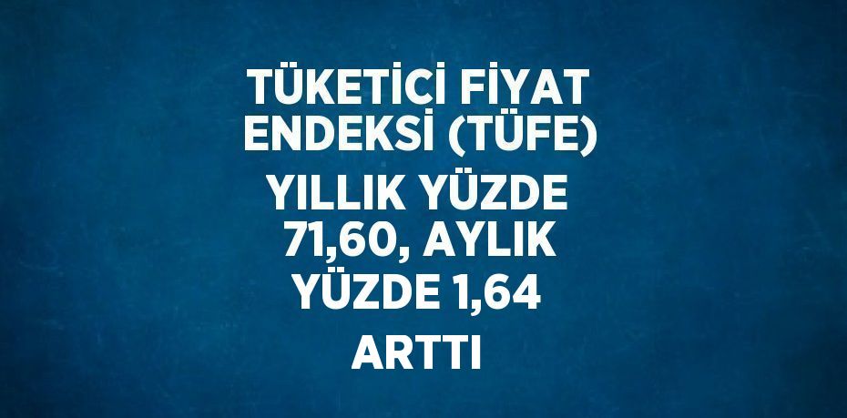 TÜKETİCİ FİYAT ENDEKSİ (TÜFE) YILLIK YÜZDE 71,60, AYLIK YÜZDE 1,64 ARTTI