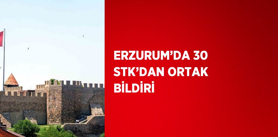 ERZURUM’DA 30 STK’DAN ORTAK BİLDİRİ