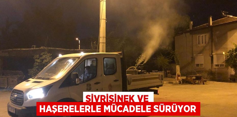 Sivrisinek ve haşerelerle mücadele sürüyor