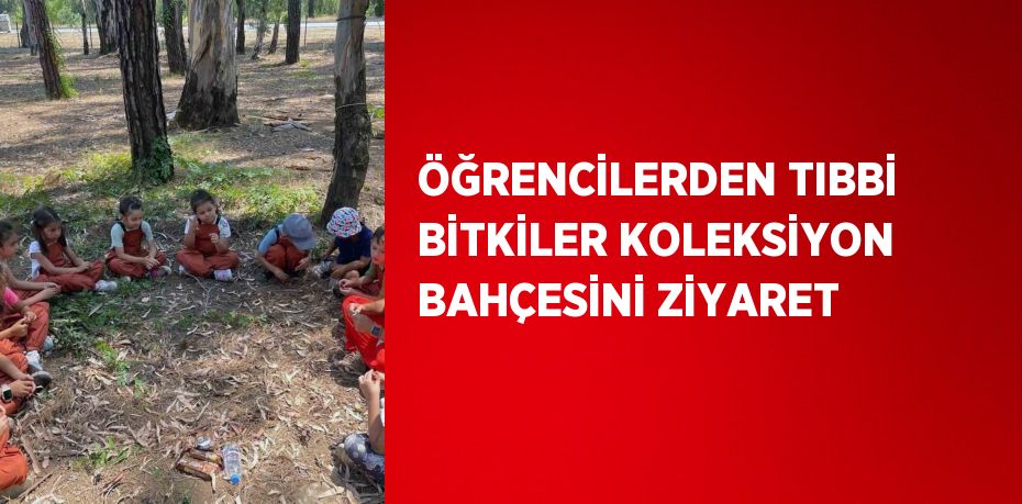 ÖĞRENCİLERDEN TIBBİ BİTKİLER KOLEKSİYON BAHÇESİNİ ZİYARET