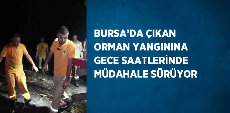 BURSA’DA ÇIKAN ORMAN YANGININA GECE SAATLERİNDE MÜDAHALE SÜRÜYOR