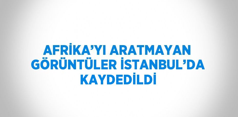 AFRİKA’YI ARATMAYAN GÖRÜNTÜLER İSTANBUL’DA KAYDEDİLDİ