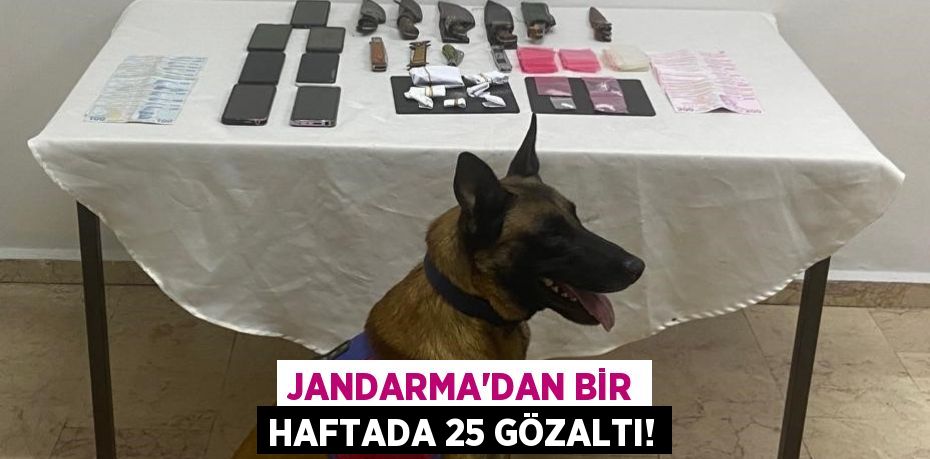 JANDARMA’DAN BİR HAFTADA 25 GÖZALTI!