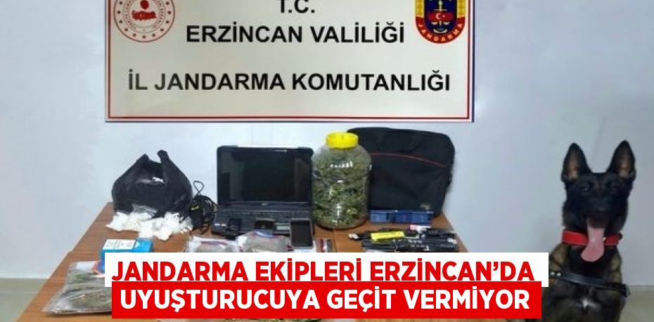 JANDARMA EKİPLERİ ERZİNCAN’DA UYUŞTURUCUYA GEÇİT VERMİYOR