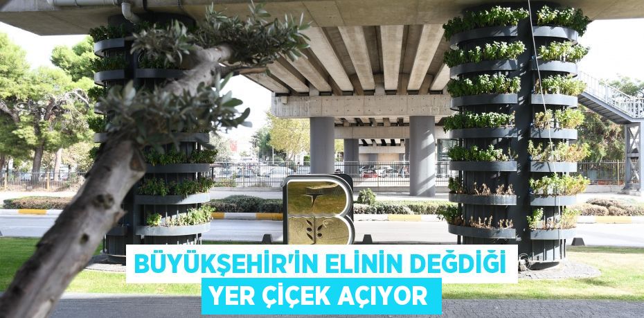 Büyükşehir’in elinin değdiği yer çiçek açıyor