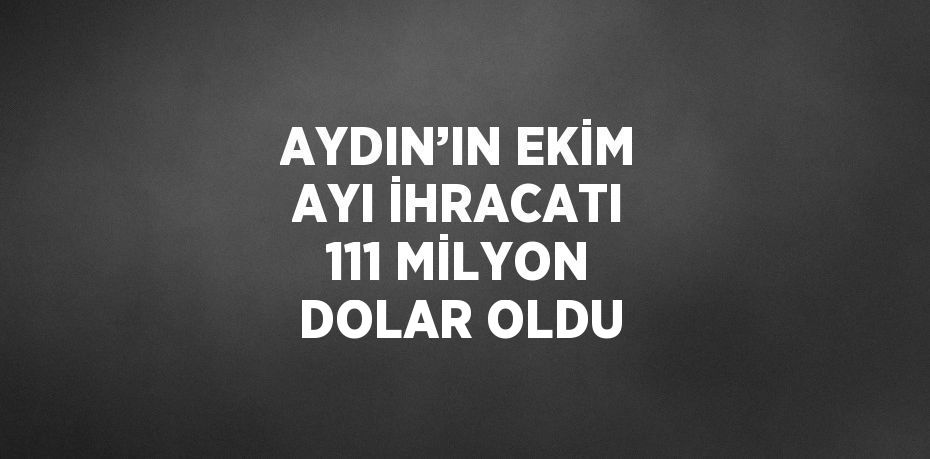 AYDIN’IN EKİM AYI İHRACATI 111 MİLYON DOLAR OLDU