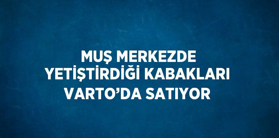 MUŞ MERKEZDE YETİŞTİRDİĞİ KABAKLARI VARTO’DA SATIYOR