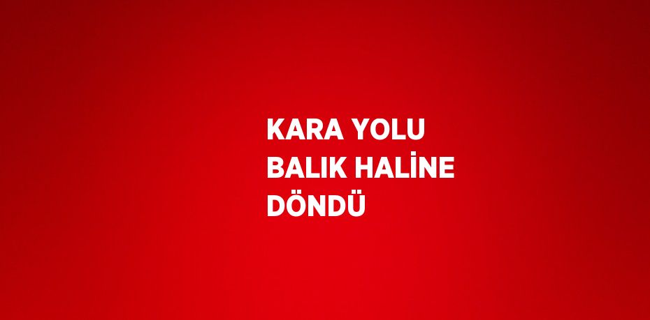 KARA YOLU BALIK HALİNE DÖNDÜ