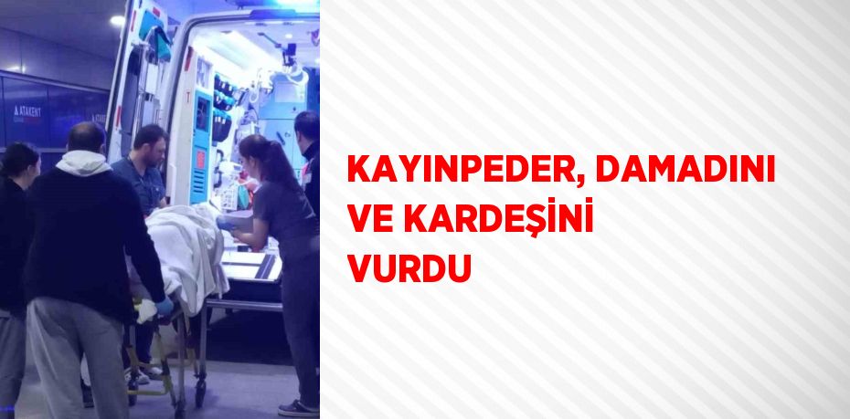 KAYINPEDER, DAMADINI VE KARDEŞİNİ VURDU