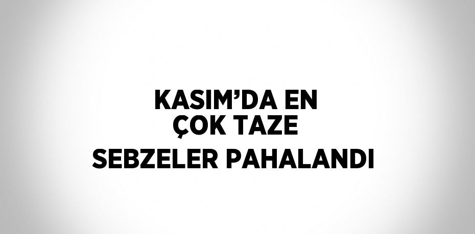 KASIM’DA EN ÇOK TAZE SEBZELER PAHALANDI