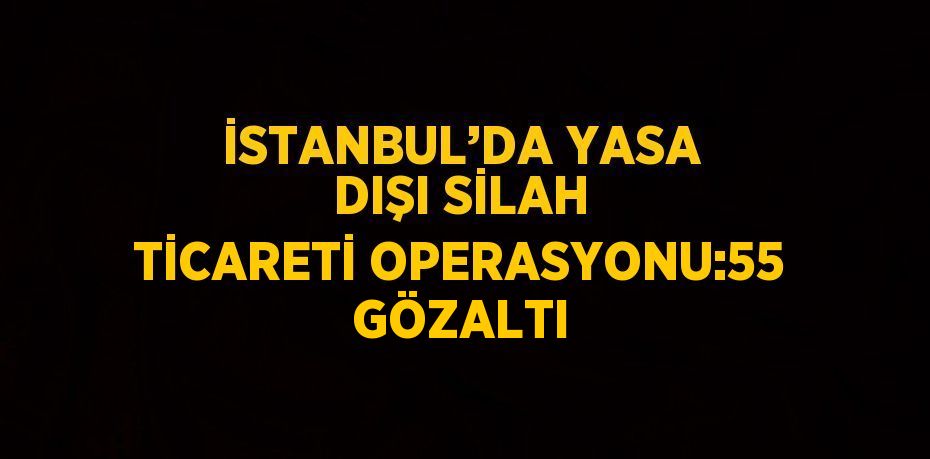 İSTANBUL’DA YASA DIŞI SİLAH TİCARETİ OPERASYONU:55 GÖZALTI