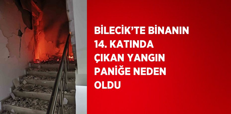 BİLECİK’TE BİNANIN 14. KATINDA ÇIKAN YANGIN PANİĞE NEDEN OLDU