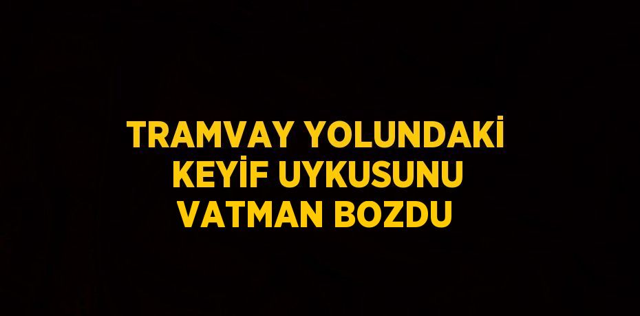 TRAMVAY YOLUNDAKİ KEYİF UYKUSUNU VATMAN BOZDU