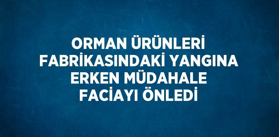 ORMAN ÜRÜNLERİ FABRİKASINDAKİ YANGINA ERKEN MÜDAHALE FACİAYI ÖNLEDİ