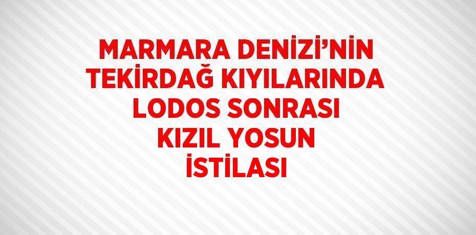 MARMARA DENİZİ’NİN TEKİRDAĞ KIYILARINDA LODOS SONRASI KIZIL YOSUN İSTİLASI