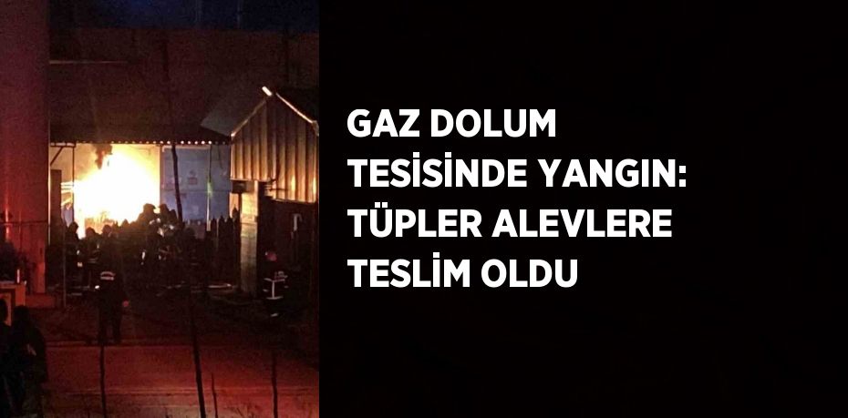 GAZ DOLUM TESİSİNDE YANGIN: TÜPLER ALEVLERE TESLİM OLDU