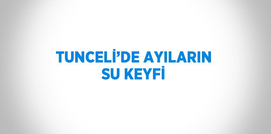 TUNCELİ’DE AYILARIN SU KEYFİ