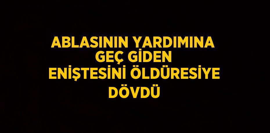 ABLASININ YARDIMINA GEÇ GİDEN ENİŞTESİNİ ÖLDÜRESİYE DÖVDÜ