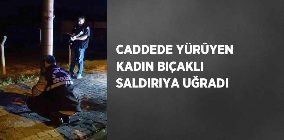 CADDEDE YÜRÜYEN KADIN BIÇAKLI SALDIRIYA UĞRADI