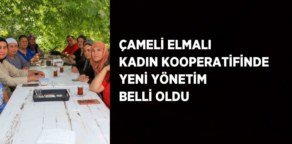 ÇAMELİ ELMALI KADIN KOOPERATİFİNDE YENİ YÖNETİM BELLİ OLDU