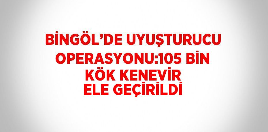 BİNGÖL’DE UYUŞTURUCU OPERASYONU:105 BİN KÖK KENEVİR ELE GEÇİRİLDİ