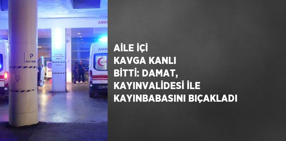 AİLE İÇİ KAVGA KANLI BİTTİ: DAMAT, KAYINVALİDESİ İLE KAYINBABASINI BIÇAKLADI