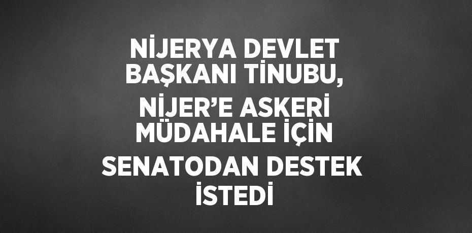 NİJERYA DEVLET BAŞKANI TİNUBU, NİJER’E ASKERİ MÜDAHALE İÇİN SENATODAN DESTEK İSTEDİ