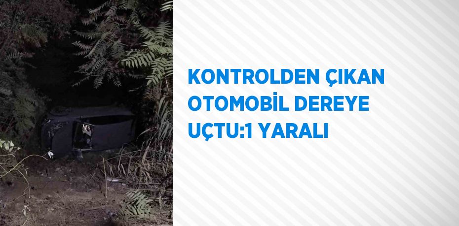 KONTROLDEN ÇIKAN OTOMOBİL DEREYE UÇTU:1 YARALI