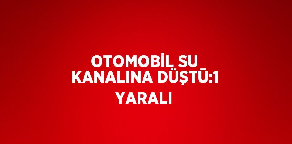 OTOMOBİL SU KANALINA DÜŞTÜ:1 YARALI