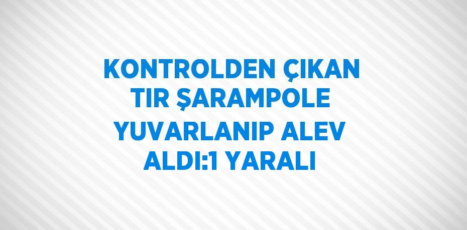 KONTROLDEN ÇIKAN TIR ŞARAMPOLE YUVARLANIP ALEV ALDI:1 YARALI