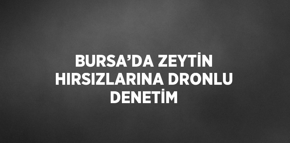 BURSA’DA ZEYTİN HIRSIZLARINA DRONLU DENETİM