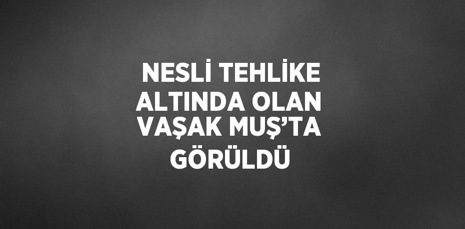 NESLİ TEHLİKE ALTINDA OLAN VAŞAK MUŞ’TA GÖRÜLDÜ