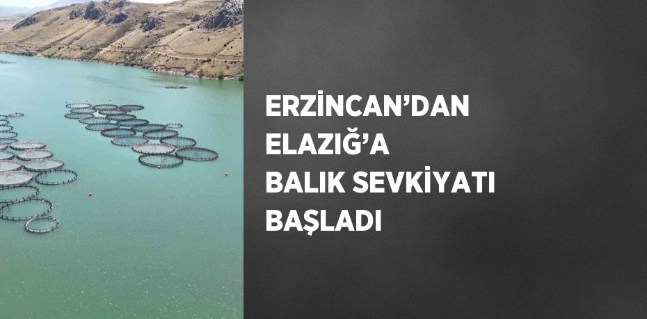 ERZİNCAN’DAN ELAZIĞ’A BALIK SEVKİYATI BAŞLADI