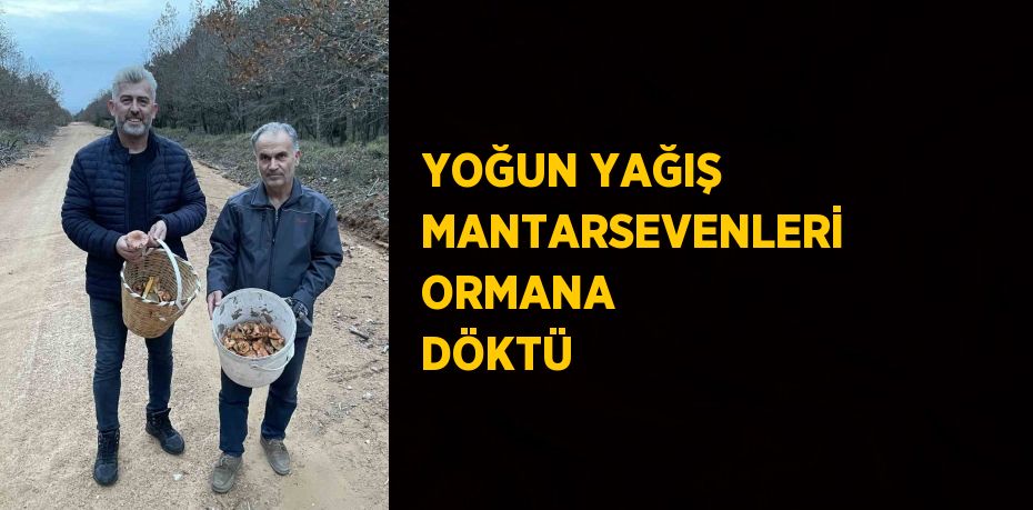 YOĞUN YAĞIŞ MANTARSEVENLERİ ORMANA DÖKTÜ