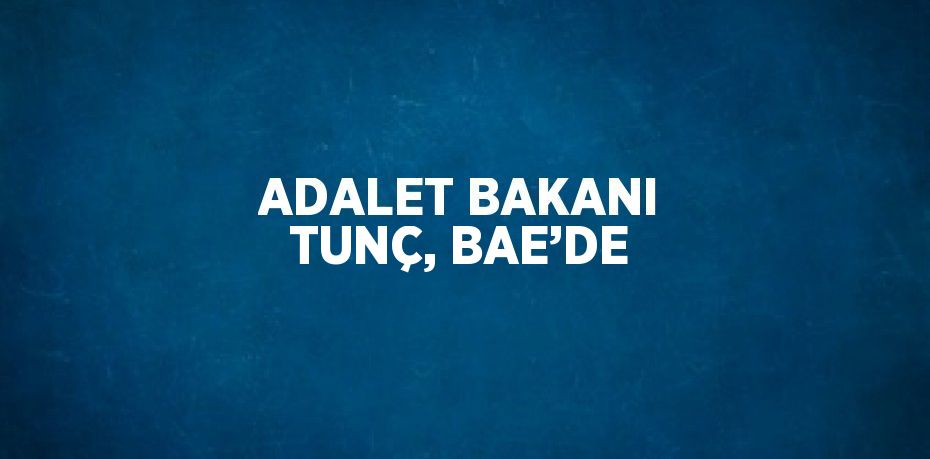 ADALET BAKANI TUNÇ, BAE’DE