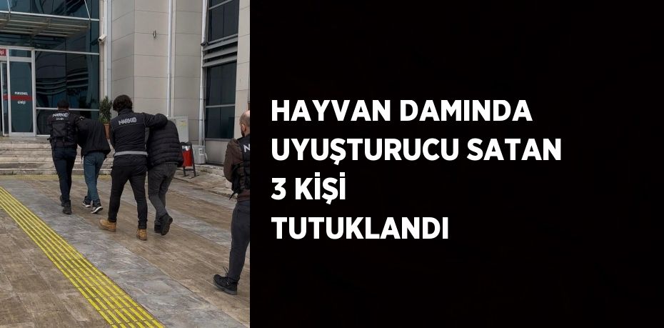 HAYVAN DAMINDA UYUŞTURUCU SATAN 3 KİŞİ TUTUKLANDI