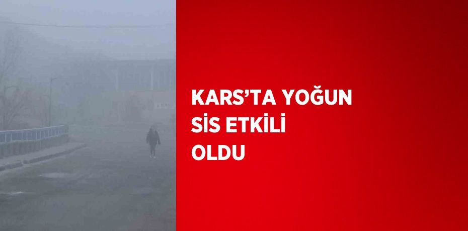 KARS’TA YOĞUN SİS ETKİLİ OLDU