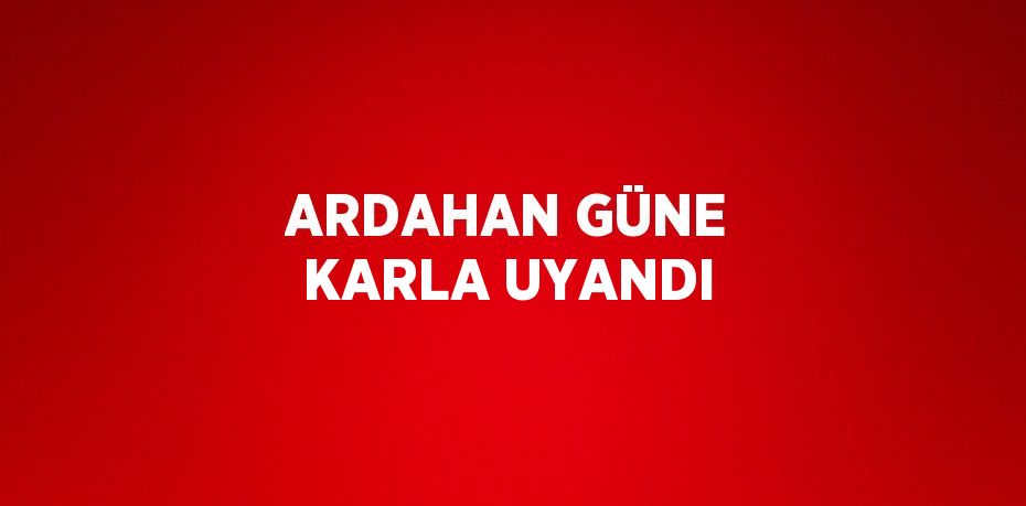 ARDAHAN GÜNE KARLA UYANDI