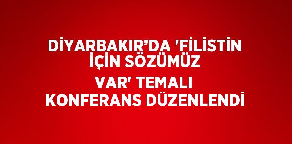 DİYARBAKIR’DA 'FİLİSTİN İÇİN SÖZÜMÜZ VAR' TEMALI KONFERANS DÜZENLENDİ