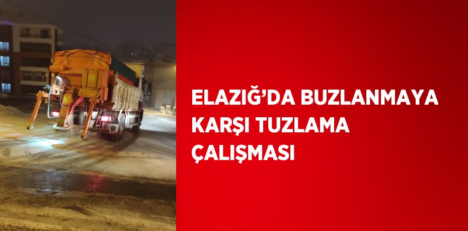 ELAZIĞ’DA BUZLANMAYA KARŞI TUZLAMA ÇALIŞMASI