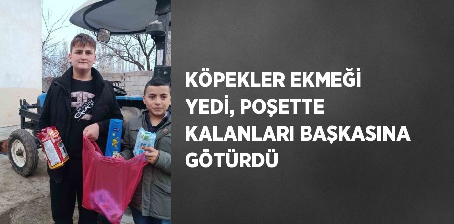 KÖPEKLER EKMEĞİ YEDİ, POŞETTE KALANLARI BAŞKASINA GÖTÜRDÜ