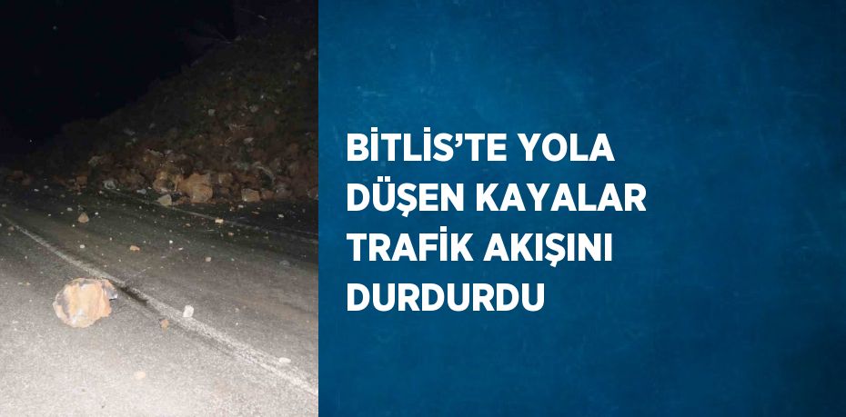 BİTLİS’TE YOLA DÜŞEN KAYALAR TRAFİK AKIŞINI DURDURDU