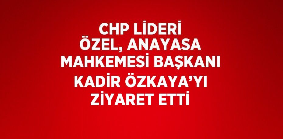 CHP LİDERİ ÖZEL, ANAYASA MAHKEMESİ BAŞKANI KADİR ÖZKAYA’YI ZİYARET ETTİ