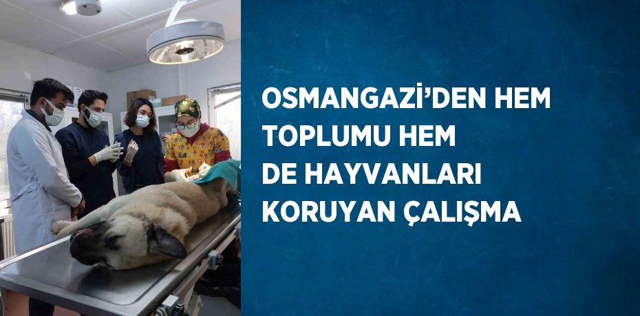 OSMANGAZİ’DEN HEM TOPLUMU HEM DE HAYVANLARI KORUYAN ÇALIŞMA